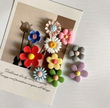 MINI MAGNET COLLECTION — Cute, Colourful & Collectible!