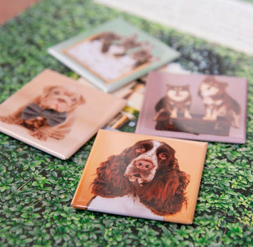 Pet Magnet Collection